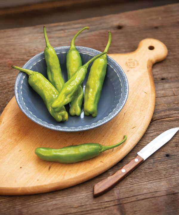 Shishimai - (F1) Shishito Pepper Seed