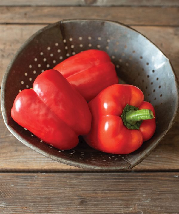 Olly - Organic (F1) Bell Pepper Seed