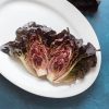Volcana - Lettuce Seed