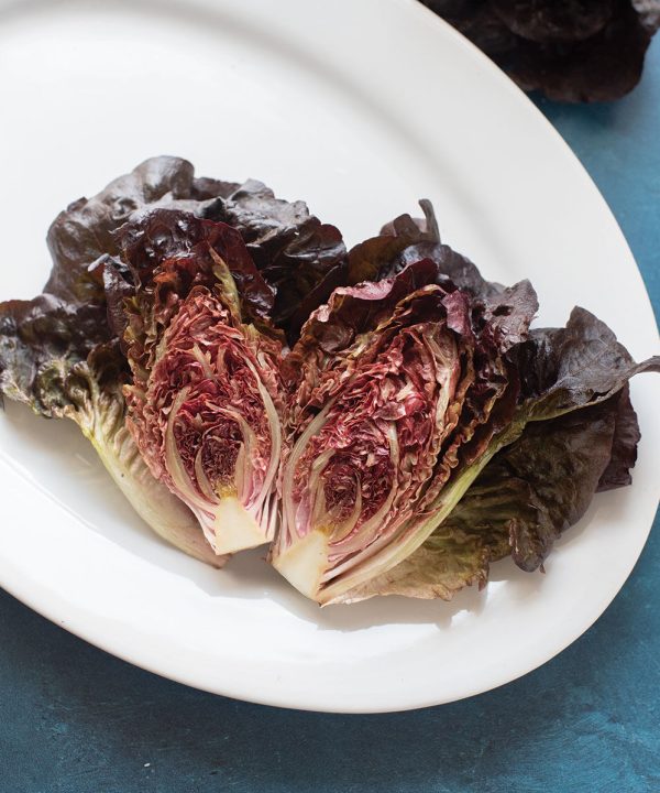 Volcana - Pelleted Lettuce Seed