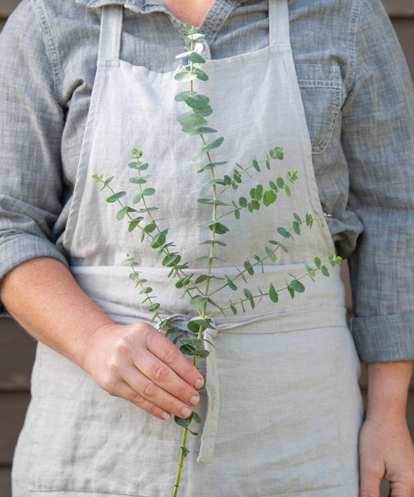 Baby Blue Bouquet - Eucalyptus Seed