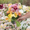 Imperial Antique Shades - (F1) Viola Seed
