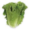 Gladius - Pelleted Romaine Lettuce Seeds