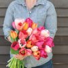 Blush Blend - Tulip Bulb