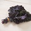 Frisé Rouge - Organic Kale Seed