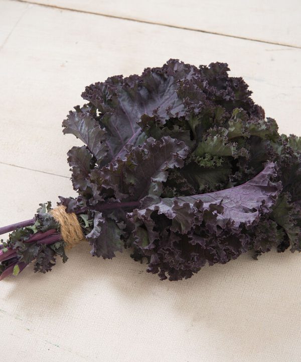Frisé Rouge - Organic Kale Seed