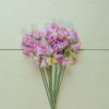 Enchanté - Sweet Pea Seed