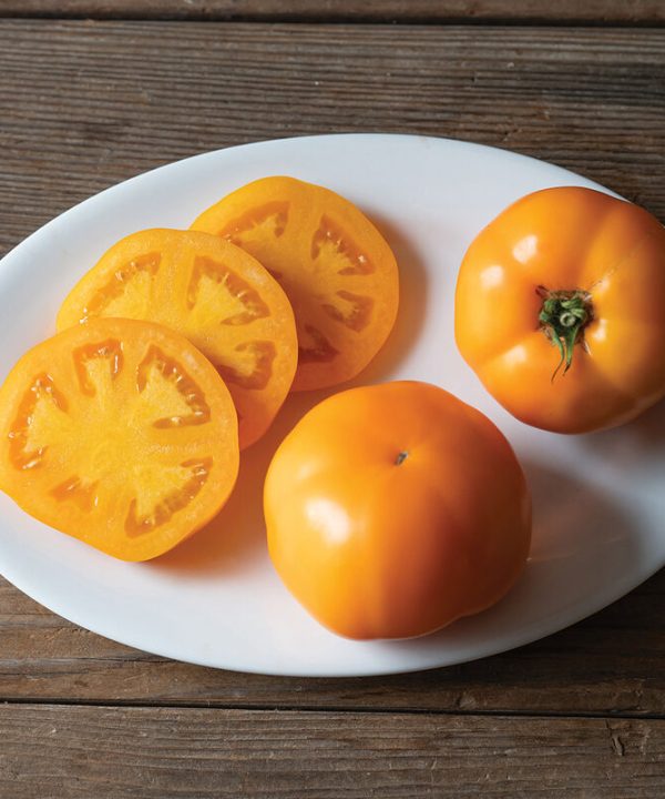 Marmalade Skies - Organic (F1) Tomato Seed