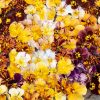 Brush Strokes - Viola Seed