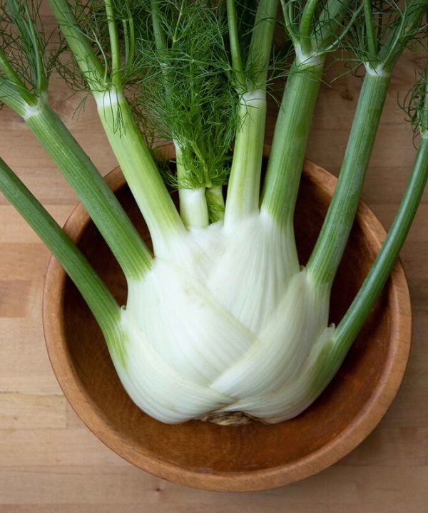Dragon - (F1) Fennel Seed