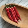 Mojo - Organic Aji Pepper Seed
