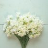 Spencer Ice Cream - Sweet Pea Seed