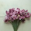 Streamers Chocolate - Sweet Pea Seed