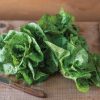 Kolibri - Organic Lettuce Seed