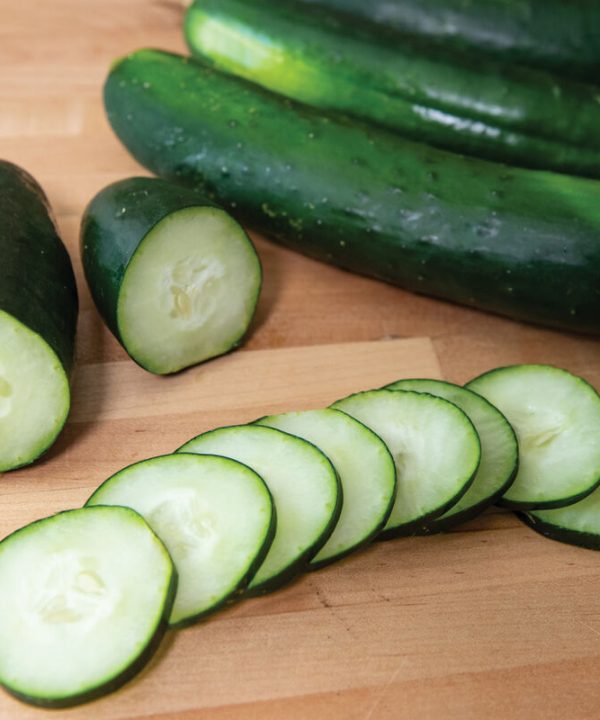 Gateway - (F1) Cucumber Seed