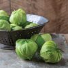 Pancho - (F1) Tomatillo Seed