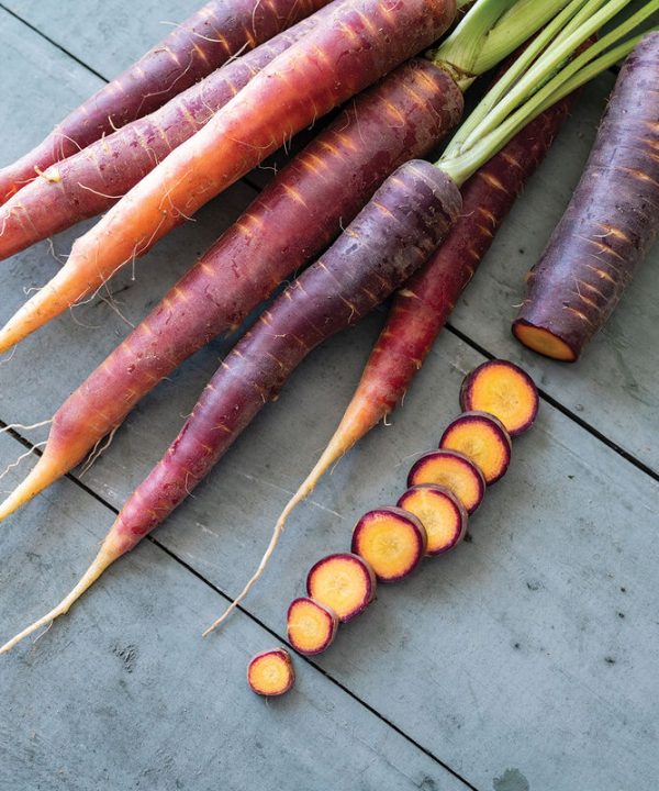 Purple Star - Purple Carrot Seeds