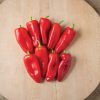 SVPS0897 - (F1) Snack Pepper Seed
