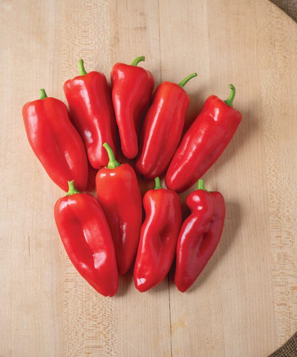 SVPS0897 - (F1) Snack Pepper Seed