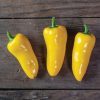 SVPS1263 - (F1) Snack Pepper Seed