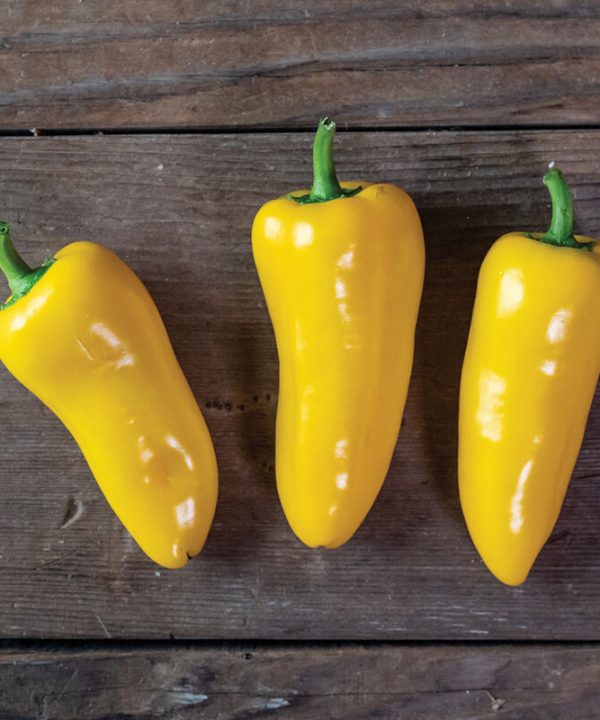 SVPS1263 - (F1) Snack Pepper Seed
