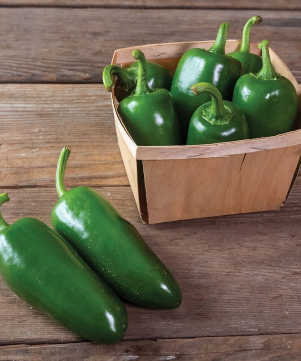 Pantera - (F1) Jalapeño Pepper Seed