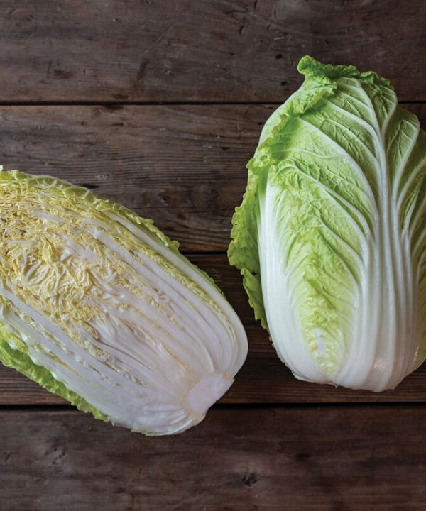 Haku - (F1) Chinese Cabbage Seed