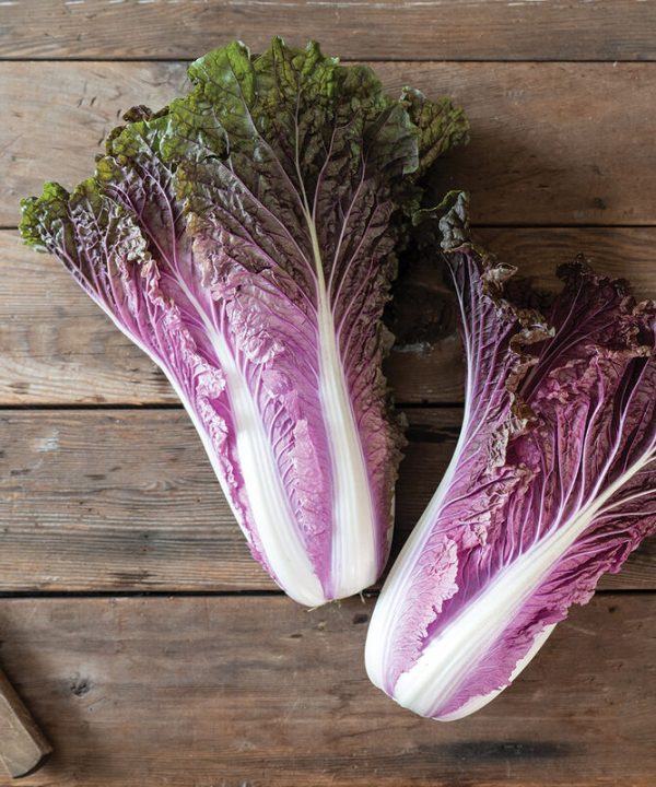 Red Trumptet - Red Chinese Cabbage Seeds