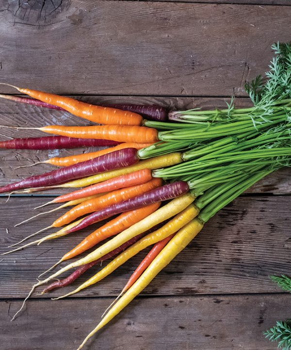 Glow Stix Moonrise Mix - Carrot Seed