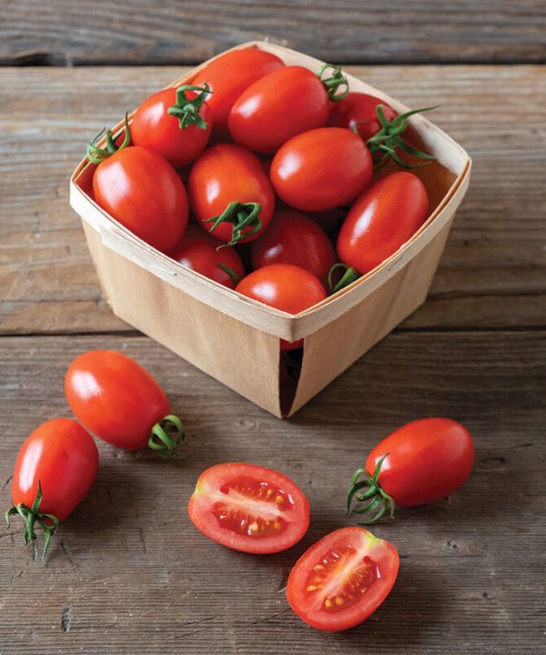 Candy Bell - Determinate Grape Tomato Seeds