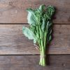Bella Verde - Mini Broccoli Seeds
