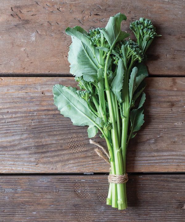Bella Verde - Mini Broccoli Seeds