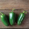 SVHJ5816 - (F1) Jalapeño Pepper Seed