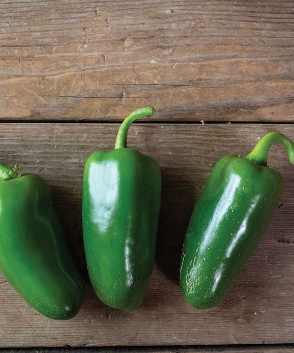SVHJ5816 - (F1) Jalapeño Pepper Seed