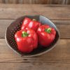Sailfish - (F1) Bell Pepper Seed