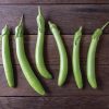 Summer Emerald - (F1) Eggplant Seed