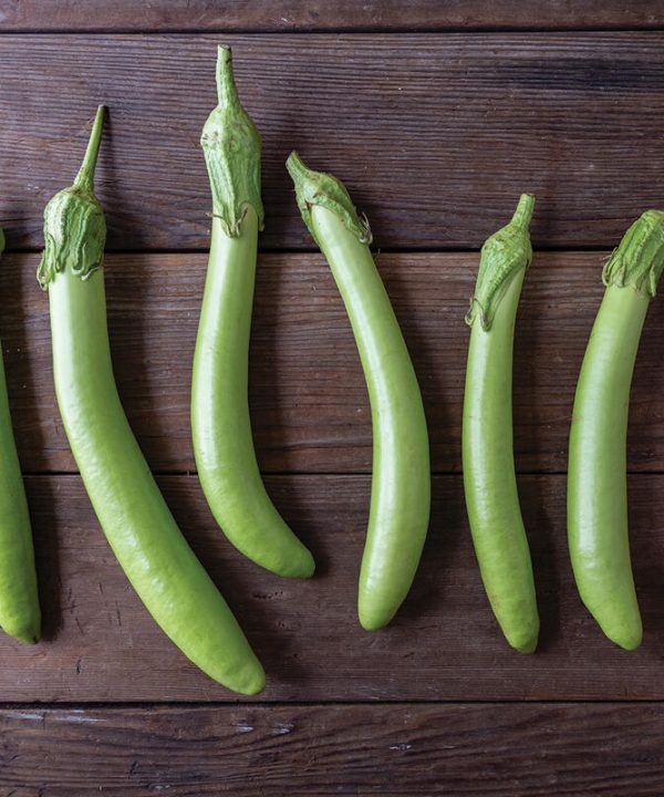 Summer Emerald - (F1) Eggplant Seed