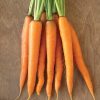 Caravel - Organic (F1) Carrot Seed