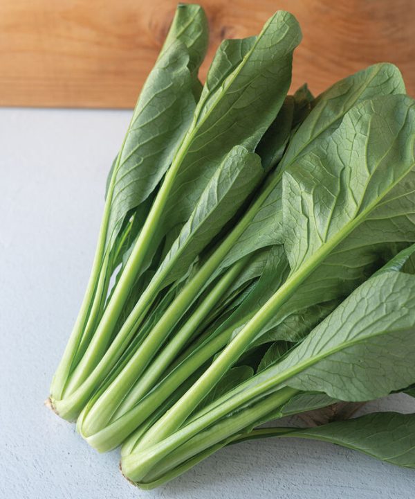 Green River - Komatsuna Seeds