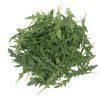Nemesis - (F1) Wild Arugula Seed