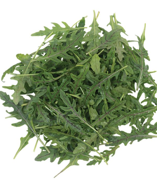 Nemesis - (F1) Wild Arugula Seed