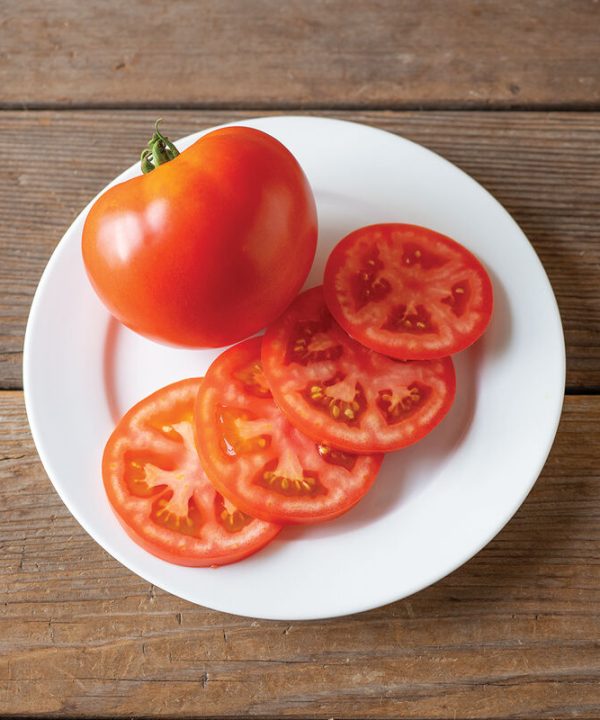Caiman - Organic (F1) Tomato Seed