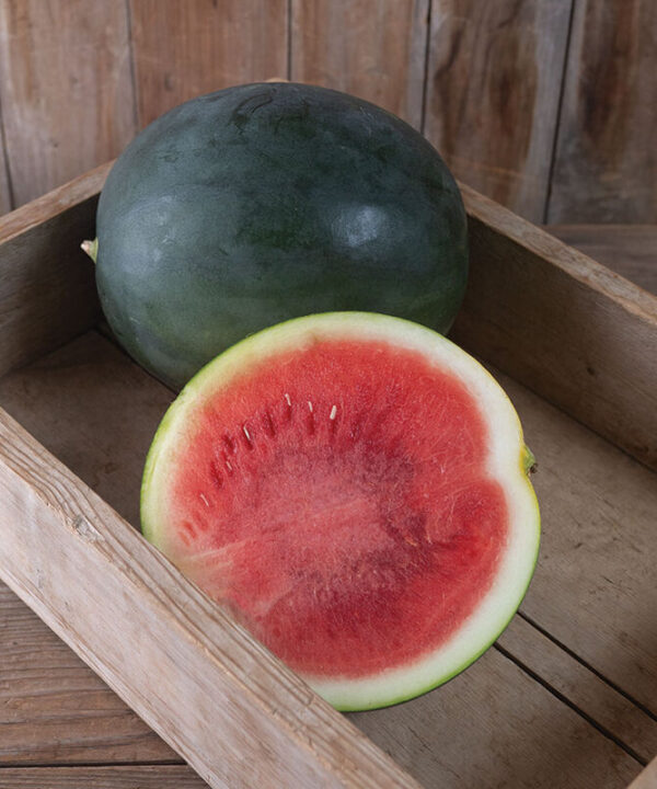 Saniara - Seedless Watermelon Seeds