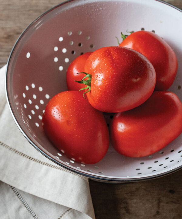 Kuzco - (F1) Tomato Seed