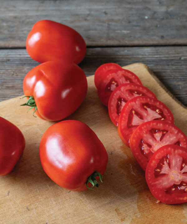 Alternative view of Kuzco - (F1) Tomato Seed