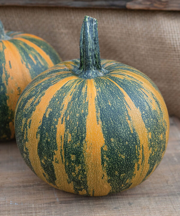 Junona - Hulless Pumpkin Seeds