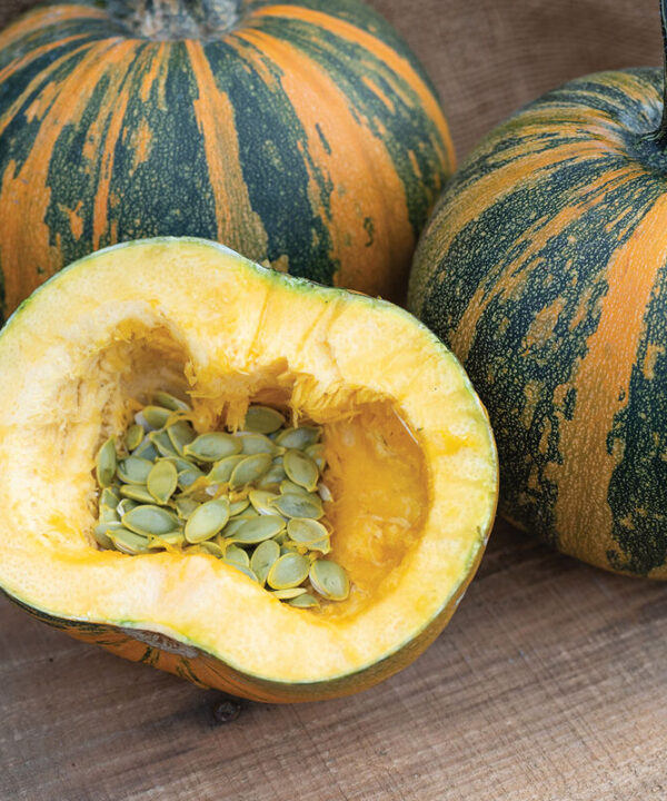 Alternative view of Junona - Hulless Pumpkin Seeds