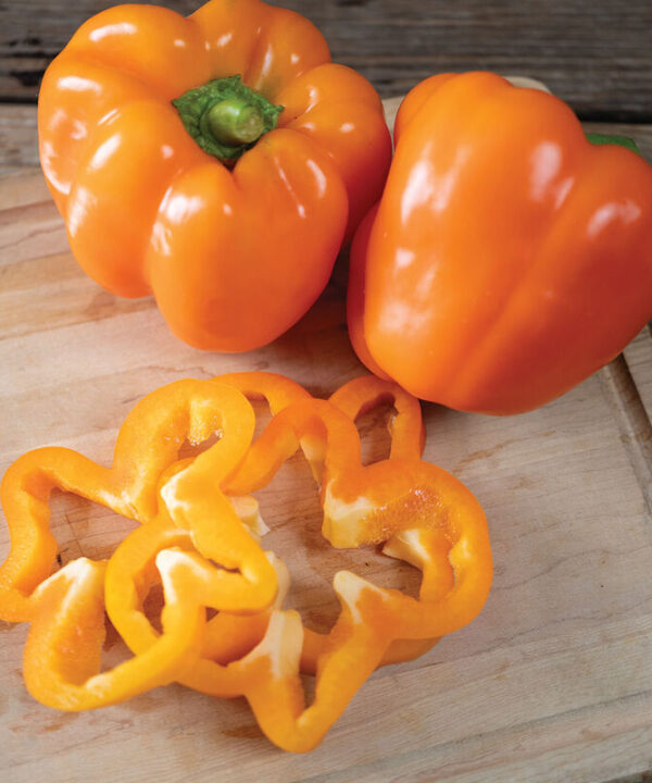 Nova - Orange Bell Pepper Seeds