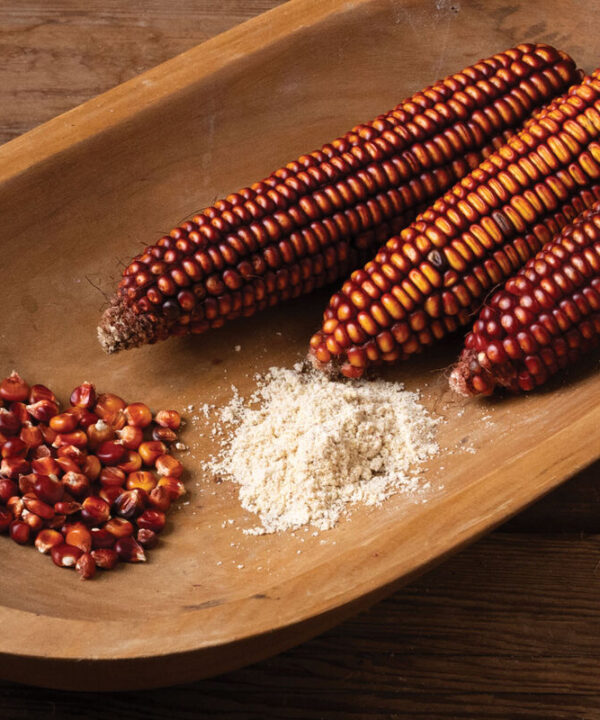 Choices - Heirloom Dry Corn Seed