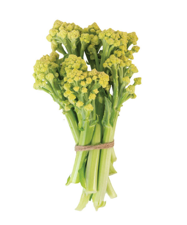 Alternative view of Romanetto 80 - (F1) Sprouting Cauliflower Seed